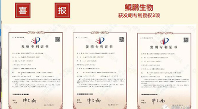 快盈VIII生物 | 核心平台技术获得中国发明专利