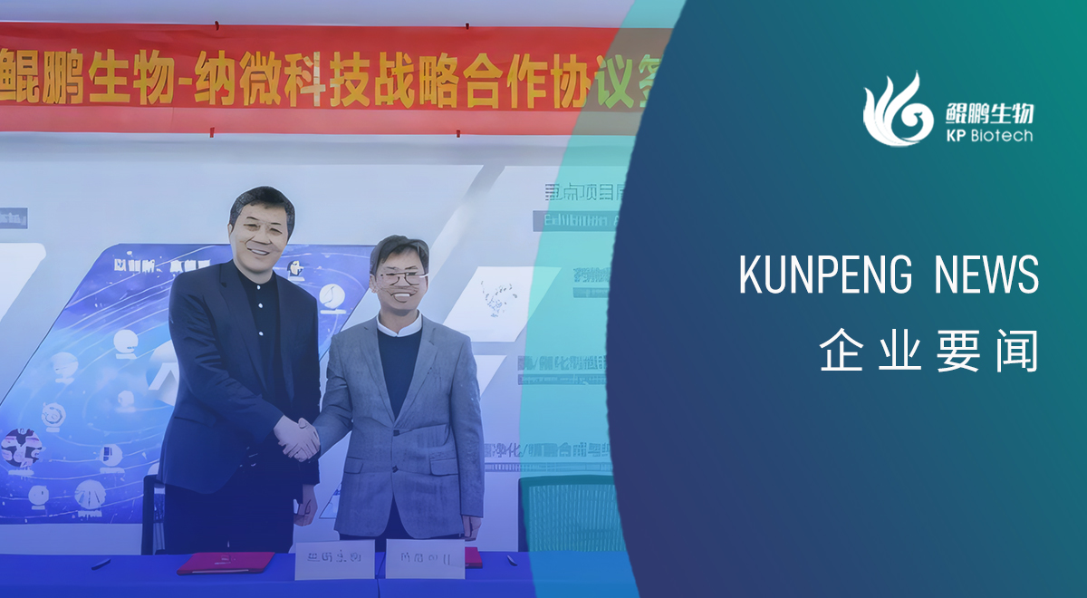 快盈VIII生物与纳微科技达成战略合作：深耕底层技术的双向奔赴